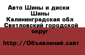 Авто Шины и диски - Шины. Калининградская обл.,Светловский городской округ 